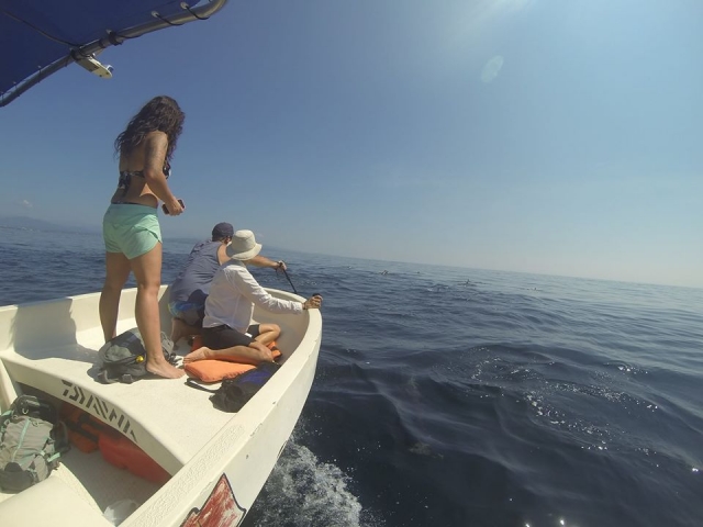 Practicando pesca